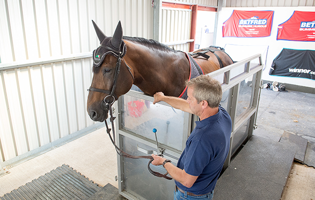Mark Beever and Big Star at the hydrotherapy spa - Shelfield Green, Alcester, Warwickshire, United Kingdom - 01 September 2016