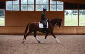 Spencer Wilton offers some simple dressage exercises to improve control of your horse