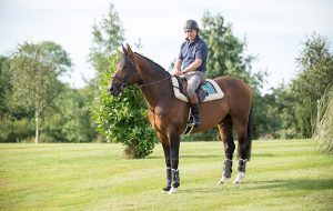 Nick Skelton and Big Star - Shelfield Green, Alcester, Warwickshire, United Kingdom - 01 September 2016