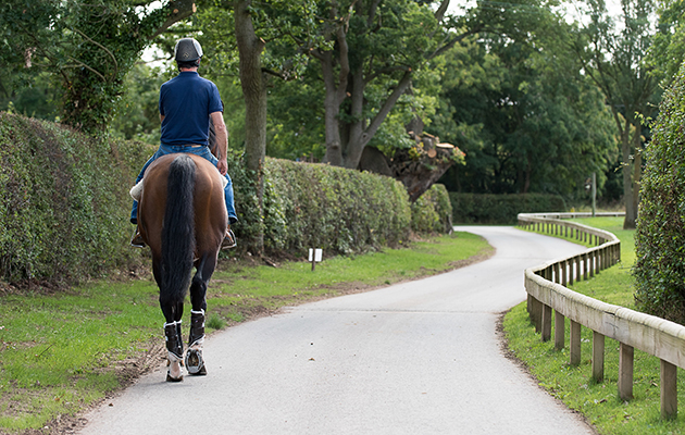 Mark Beever rides hacking home with Big Star - Shelfield Green, Alcester, Warwickshire, United Kingdom - 01 September 2016