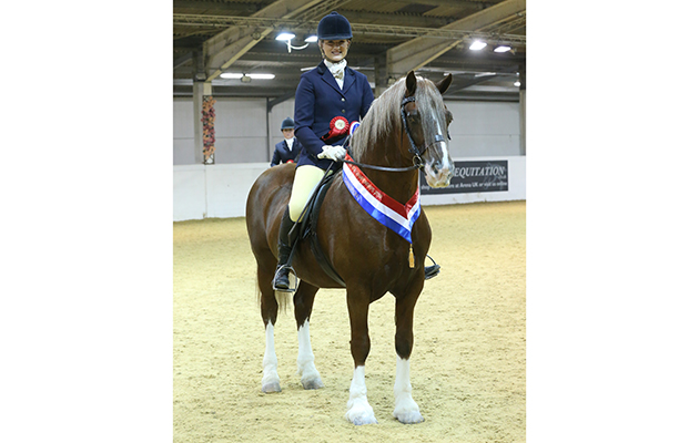 HERITAGE RESTRICTED RIDDEN CHAMPIONSHIP CHAMPION 612 ALEANTO BONAPARTE R AIMEE DEVANE class 58