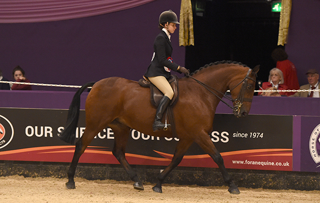 Meg Edmondson Blairfield Silicon