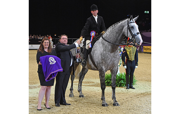 bloomfield-excelsior