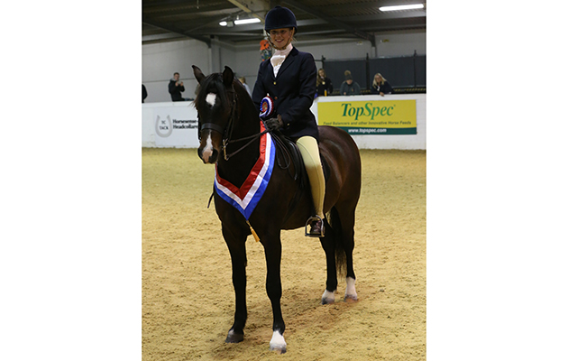 YOUNG RIDERS CHAMPIONSHIP CHAMPION 225 BRICKFIELD JACK R KIMBERLEY BATES Class 68