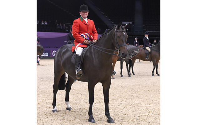 Robert Walker riding CHANTILLY BOJANGLES owned by Kim Colosso Champion in the Small Show Hunter of the Year Championship during HOYS in the NEC in Warwickshire in the UK on 5th October 2016