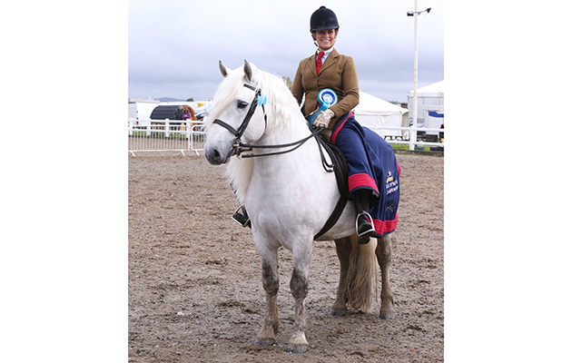 Class 94 OLYMPIA BREED QUALIFIER HIGHLAND 337 ELLISTER ISLAY MARINER R SARAH FIELD