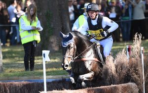 WEG Michael Jung