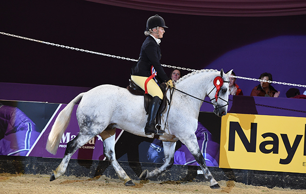 Gallant Prince Olivia Bowen