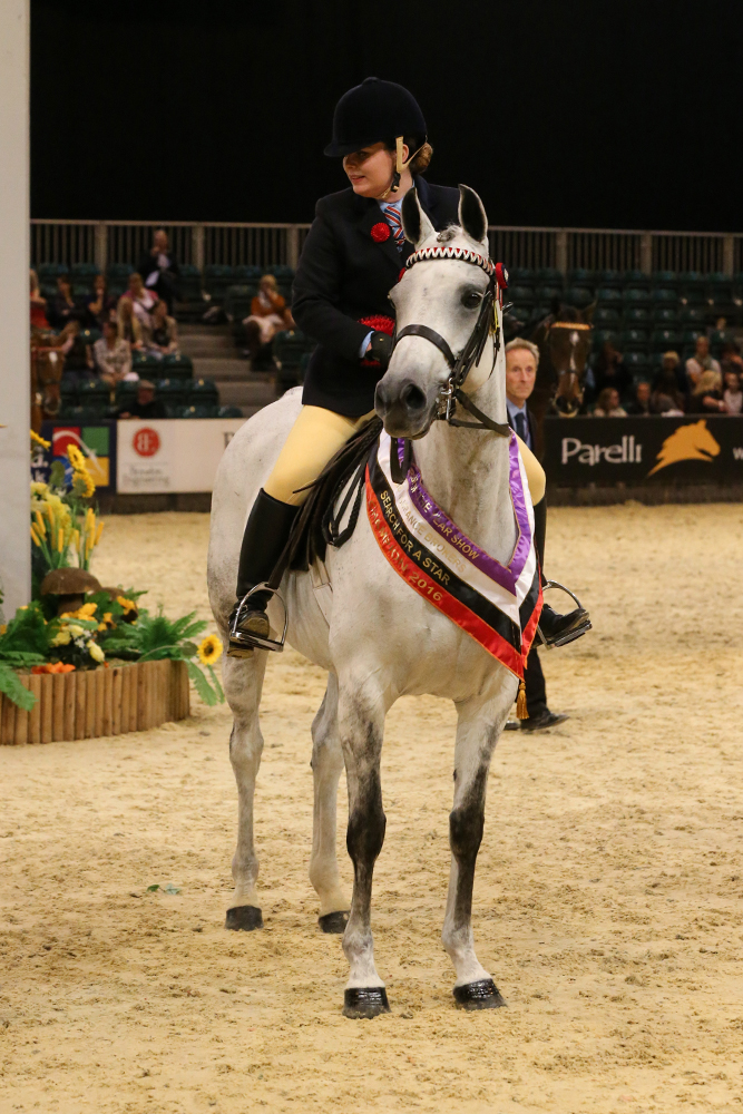 Search For A Star Hack And Riding Horse