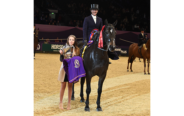 Jayne Ross riding HELLO DOLLY owned by Diane Stennett, Champion in the Ladies Side Saddle Horse of the Year Championships during HOYS in the NEC in Warwickshire in the UK on 6th October 2016