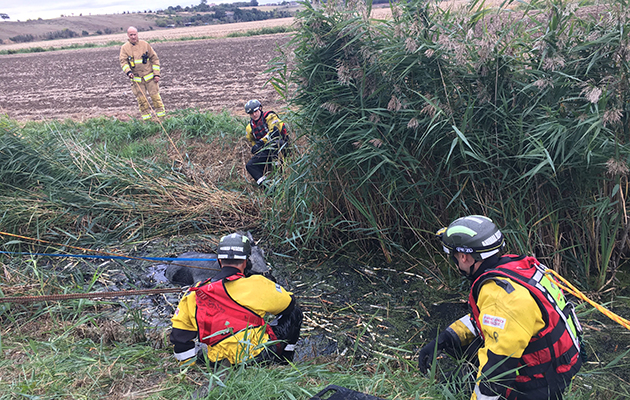 Essex ditch horse-rescue-3