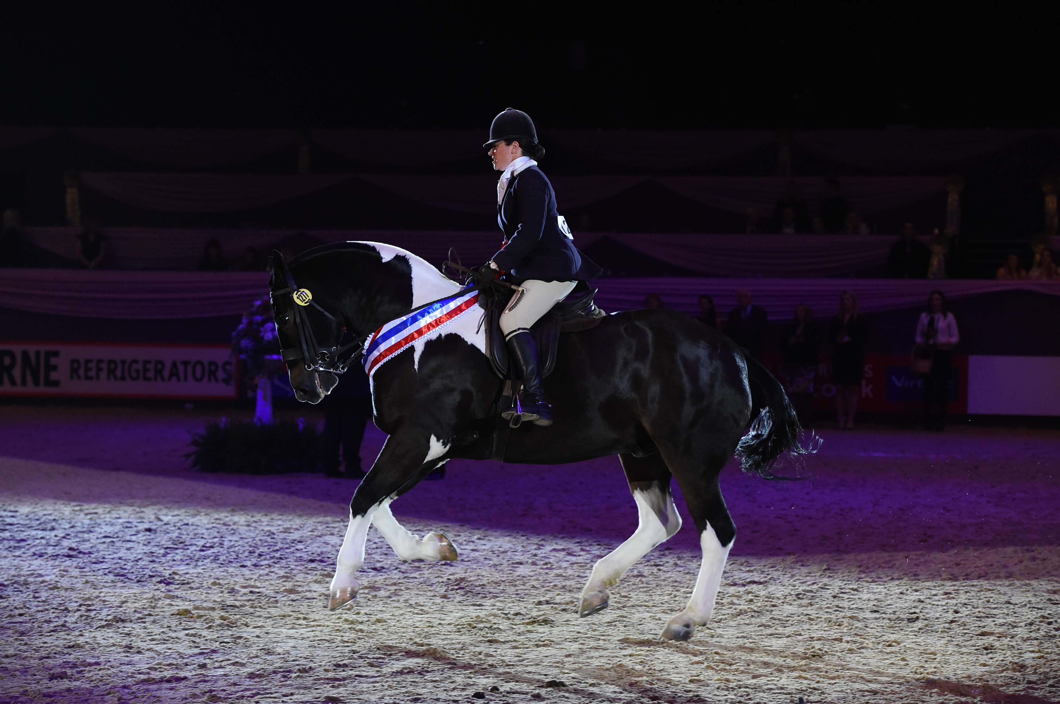 horseno1277_hoys_pn16_4058