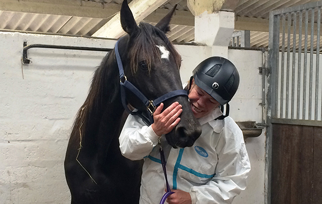 image-5-horse-under-trailer