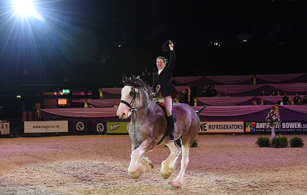 Virginia Osborne riding KINCLUNE DANNY BOY owned by Marguerite Osborne, Champion of the Ridden Heavy Horse Championship during HOYS in the NEC in Warwickshire in the UK on 9th October 2016