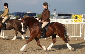 class 82 OLYMPIA SEMI FINAL SEC C 105 LYNUCK THE SHOWMAN. R: REBECCA PENNY.
