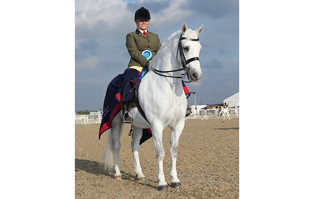 class 81 OLYMPIA SEMI FINAL New FOREST & CONNEMARA WINNER 240 NIRE VALLEY CHARLIE R'. CHARLOTTE ALFORD