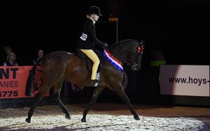 Phoebe Price riding LITTON ENTERPRISE owned by Joanne Price, Champion in the Supreme Pony of The Year Championship during HOYS in the NEC in Warwickshire in the UK on 9th October 2016
