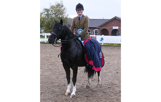 Class 90 Olympia BREED QUALIFIER Sec C 588 POPSTERS JOE BLACK R SAMANTHA ROBERTS