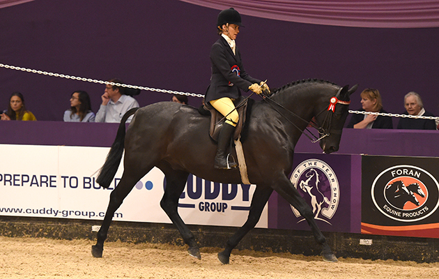 Lizzie Smith riding RATHNALEEN GOTHIC owned by Kim Smith, during the Supreme Pony of the Year Championship during HOYS in the NEC in Warwickshire in the UK on 9th October 2016