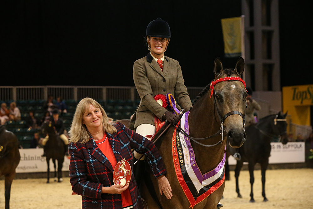 Search For A Star Hack And Riding Horse