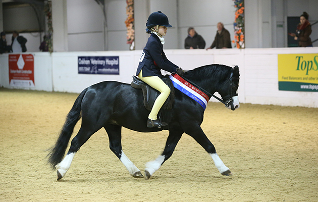 HERITAGE OPEN WHP CHAMPIONSHIP CHAMPION 587 ROCKYVIEW ECLIPSE R CHLOE LEMIEUX class 29+12