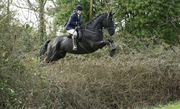 screen-shot-2016-09-28-at-14-14-41