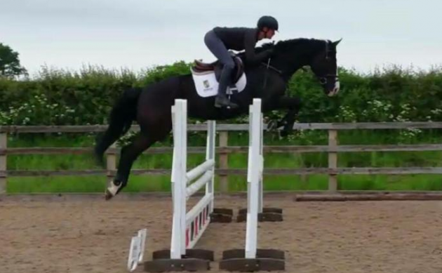 screen-shot-2016-09-28-at-14-18-13