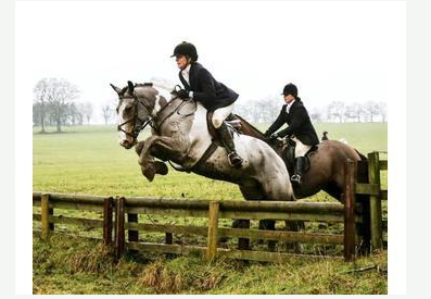 screen-shot-2016-10-04-at-13-51-34