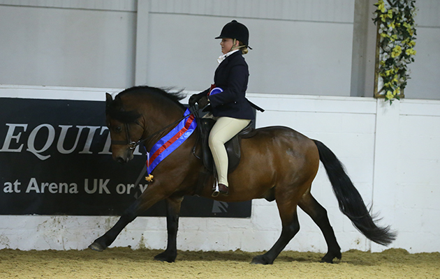 HERITAGE RESTRICTED RIDDEN CHAMPIONSHIP RESERVE 265 SHILSTONE ROCKS FIRESTONE R TERRI GREGSON Class 55