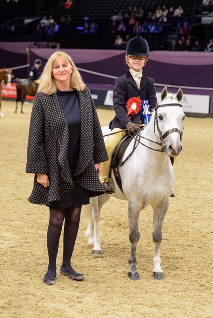 Search For A Star Championship