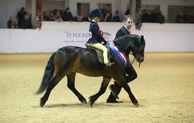 HERITAGE RISTRICTED mini CHAMPIONSHIP CHAMPION 526 SPRING WATER SADDLERS WELLS R CATE KERR H CRAIG ELENOR class 43