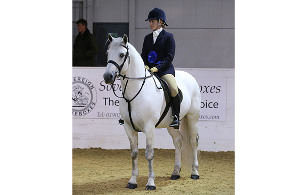 SUPREME CHAMPIONSHIP Blue Riband WHP champion 264 Tulira Darog R Amy Tough O Serena Cookson