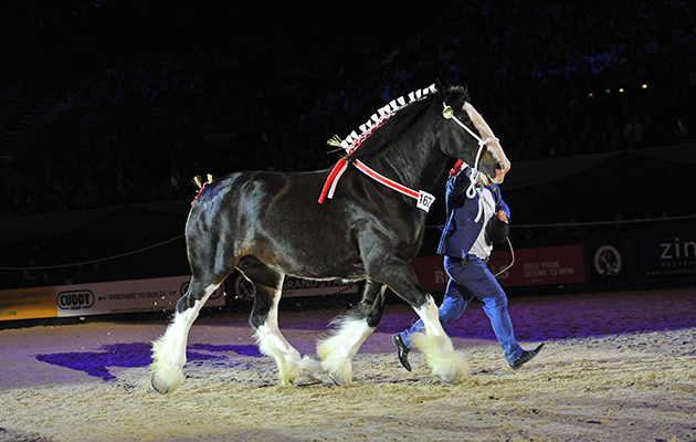 woodhouse-calendar-girl