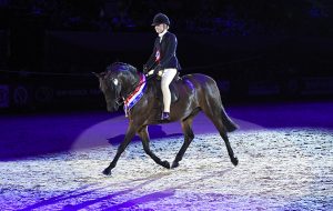 Jessica Renshaw-smith riding WYCROFT NEW DIMENSION owned by M.A. Mackay, Champion in the Show Hunter Pony of the Year Championship Final during HOYS in the NEC in Warwickshire in the UK on 9th October 2016