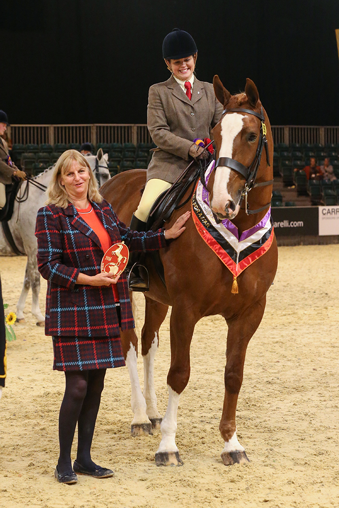 Search For A Star Show Hunter