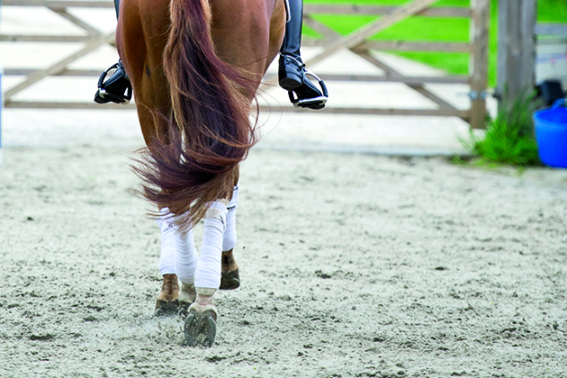 Horse & Hound festival of dressage