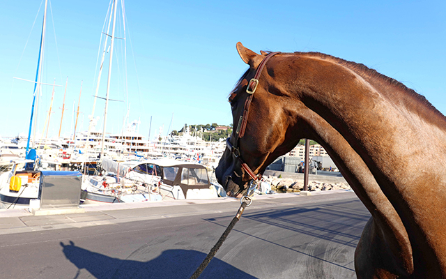 From Miami to Qatar wow factor pics from the 2016 Longines