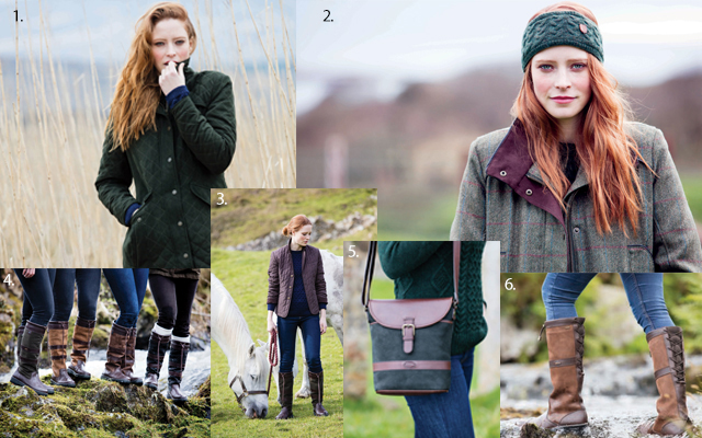 dubarry_montage-pic