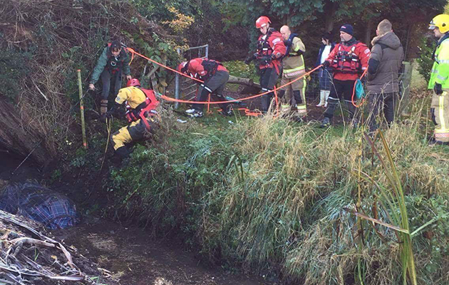 firefightersd-and-queenie