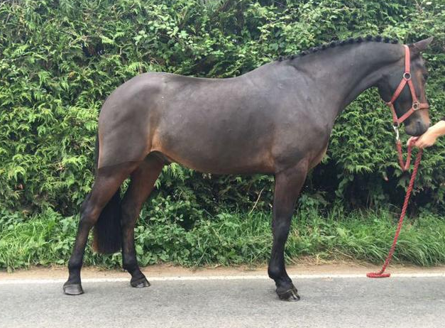 screen-shot-2016-11-01-at-15-02-59