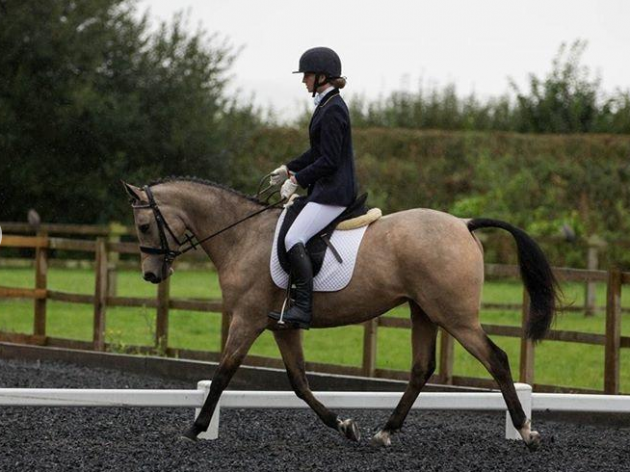 screen-shot-2016-11-01-at-15-33-00