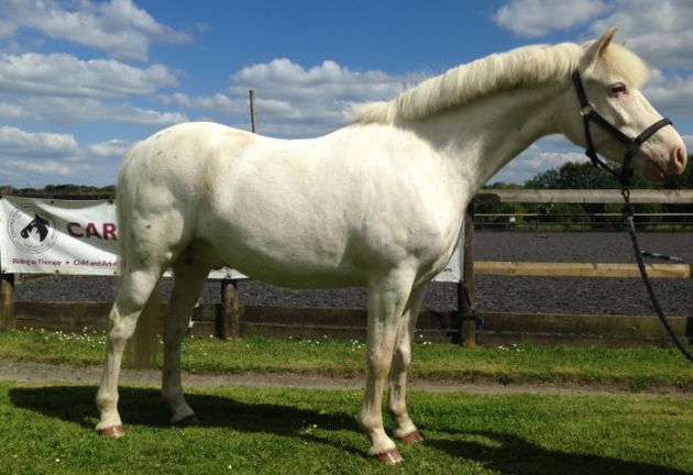 screen-shot-2016-11-01-at-15-37-34