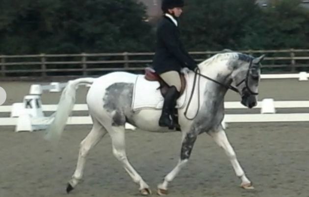 screen-shot-2016-11-01-at-15-43-58