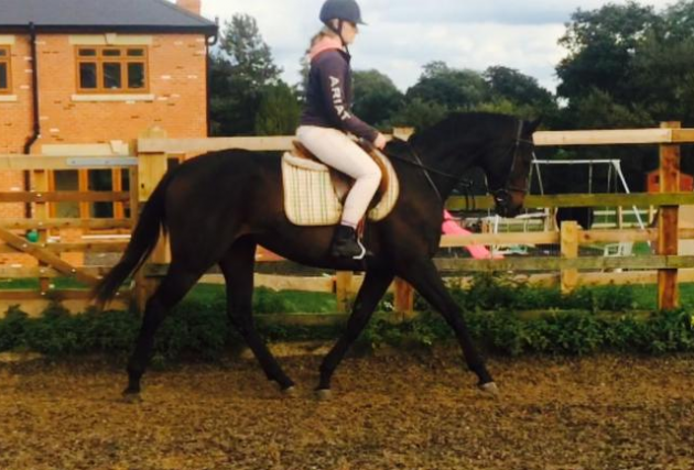 screen-shot-2016-11-22-at-12-40-24