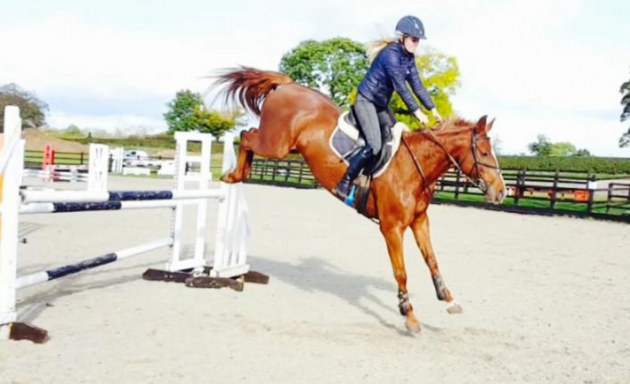 screen-shot-2016-11-22-at-12-44-55