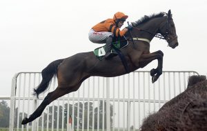 Cheltenham Gold Cup entries 2017