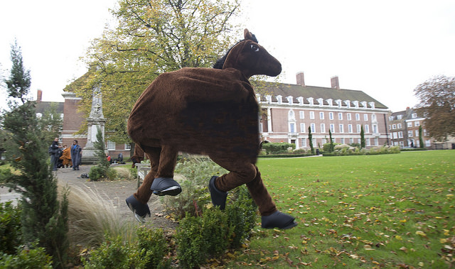 London pantomime horse race 3