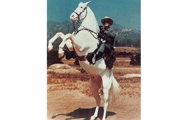 53e26296685578ce5e86d95cc6627906