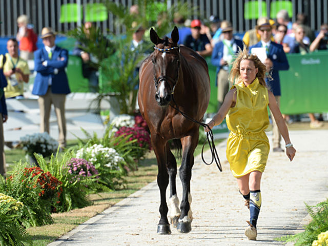 628a0563-bee5-4f01-a5c1-bdc0b1f4b303