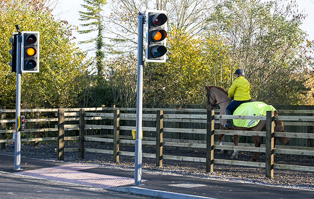 horse road crossing